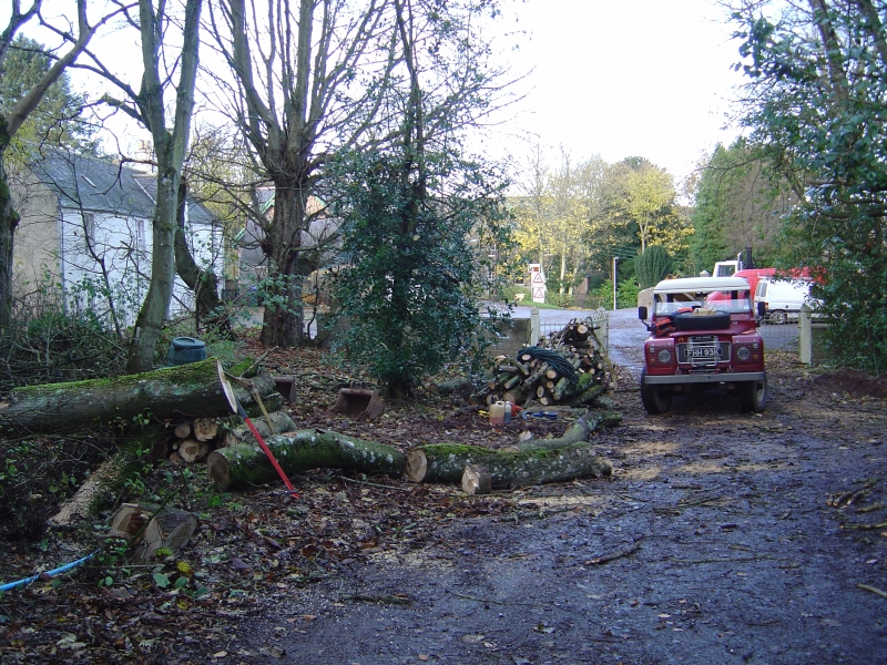 22nd November 2008 006